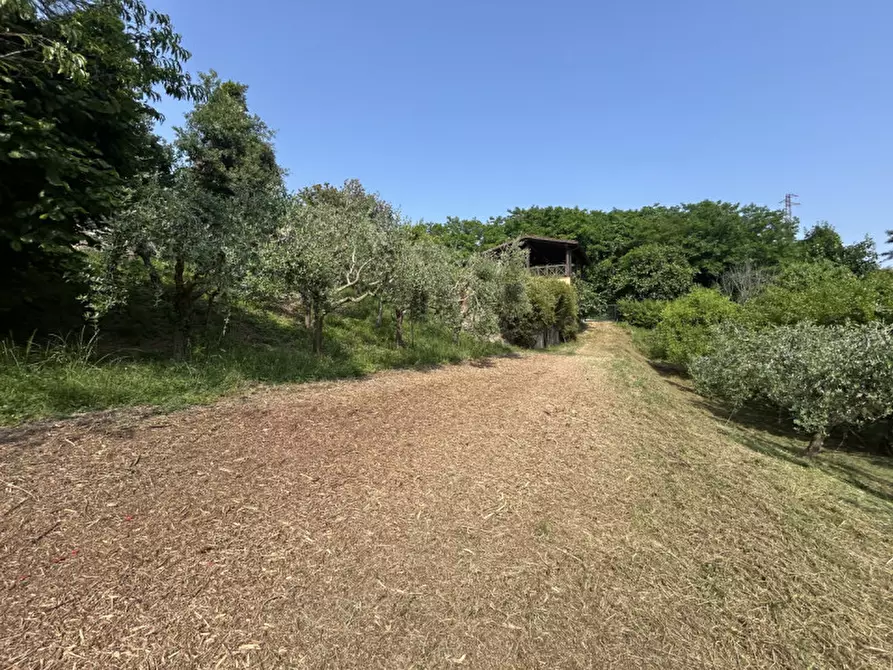 Immagine 33 di Rustico / casale in vendita  in Via Roccolo a Galzignano Terme