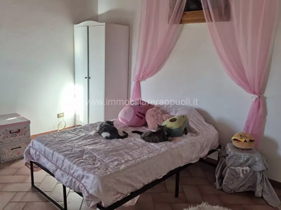 Immagine 1 di Rustico / casale in vendita  a Sinalunga