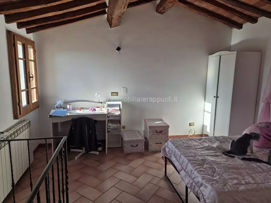 Immagine 2 di Rustico / casale in vendita  a Sinalunga