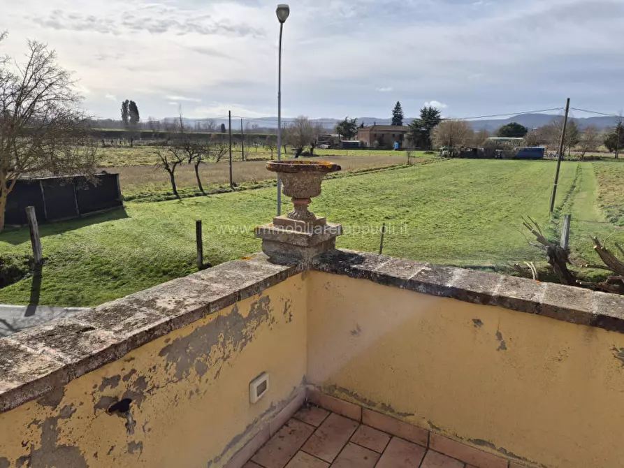 Immagine 21 di Rustico / casale in vendita  a Sinalunga