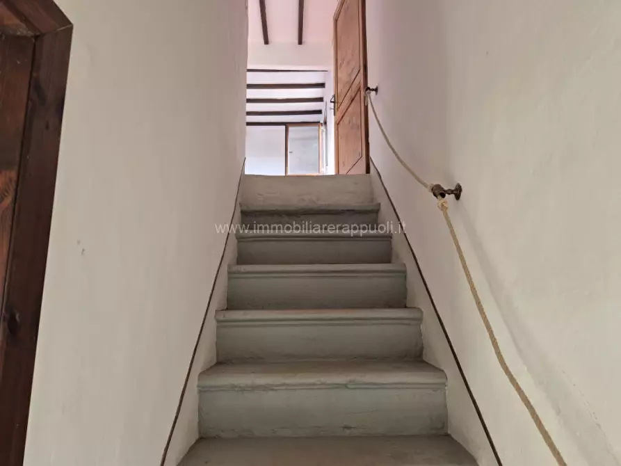 Immagine 32 di Rustico / casale in vendita  a Sinalunga