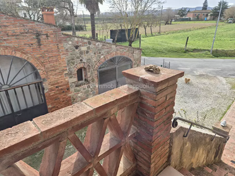Immagine 37 di Rustico / casale in vendita  a Sinalunga