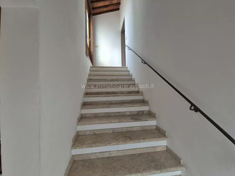 Immagine 39 di Rustico / casale in vendita  a Sinalunga