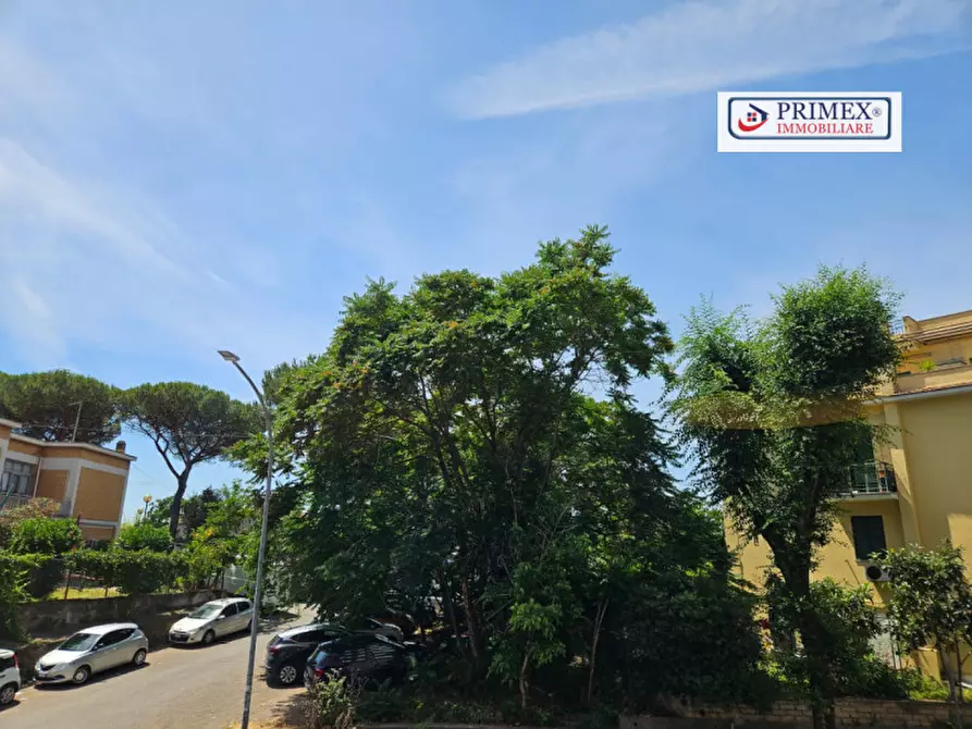 Immagine 39 di Camera in affitto  a Roma