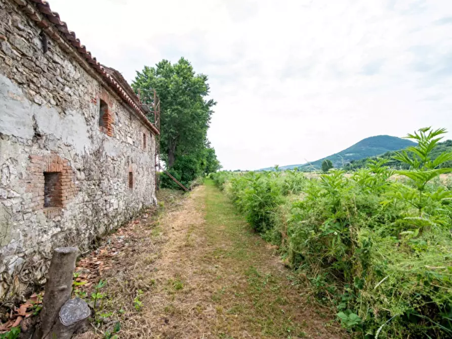 Immagine 23 di Rustico / casale in vendita  in Via Vallesana a Baone