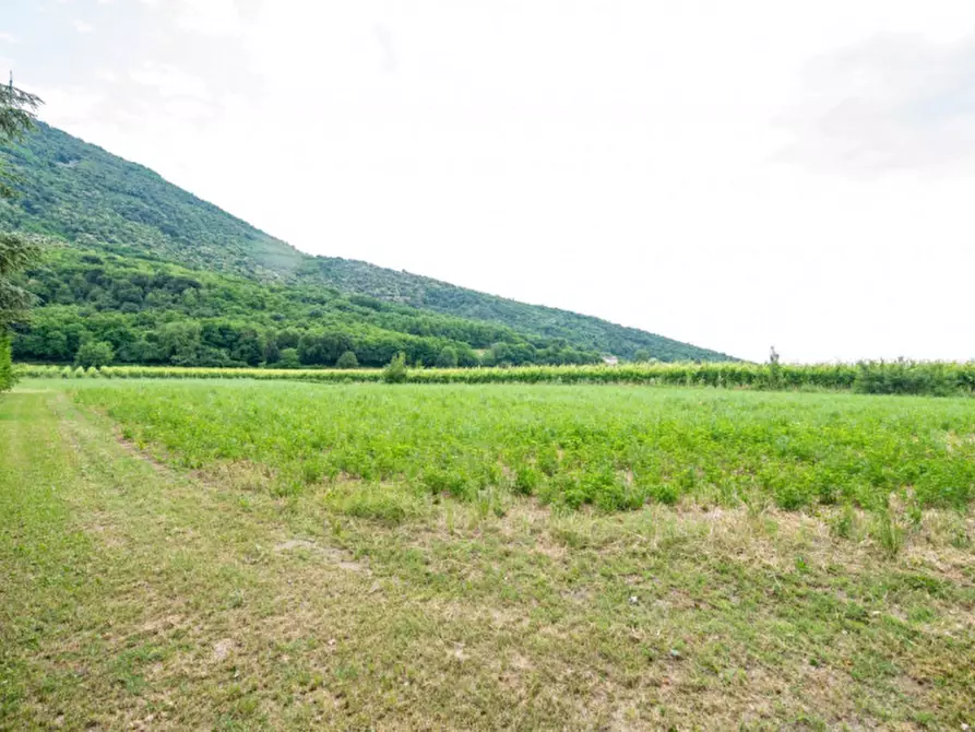 Immagine 26 di Rustico / casale in vendita  in Via Vallesana a Baone