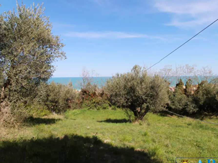 Immagine 5 di Rustico / casale in vendita  in Via Venti a Cesena