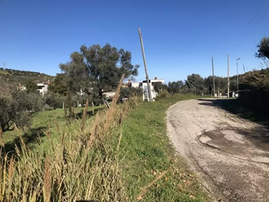 Immagine 6 di Rustico / casale in vendita  in Via Venti a Cesena