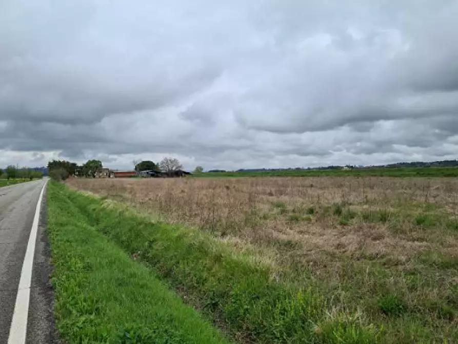 Immagine 3 di Terreno in vendita  in le Farniole a Foiano Della Chiana