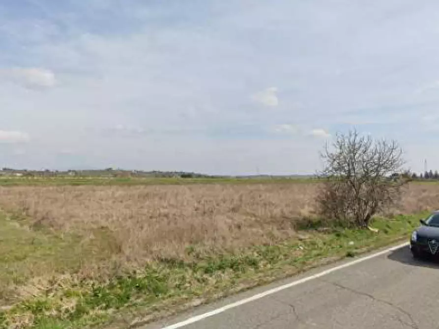 Immagine 4 di Terreno in vendita  in le Farniole a Foiano Della Chiana