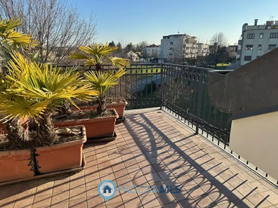 Immagine 26 di Casa bifamiliare in vendita  in Via Venezia a Vigodarzere