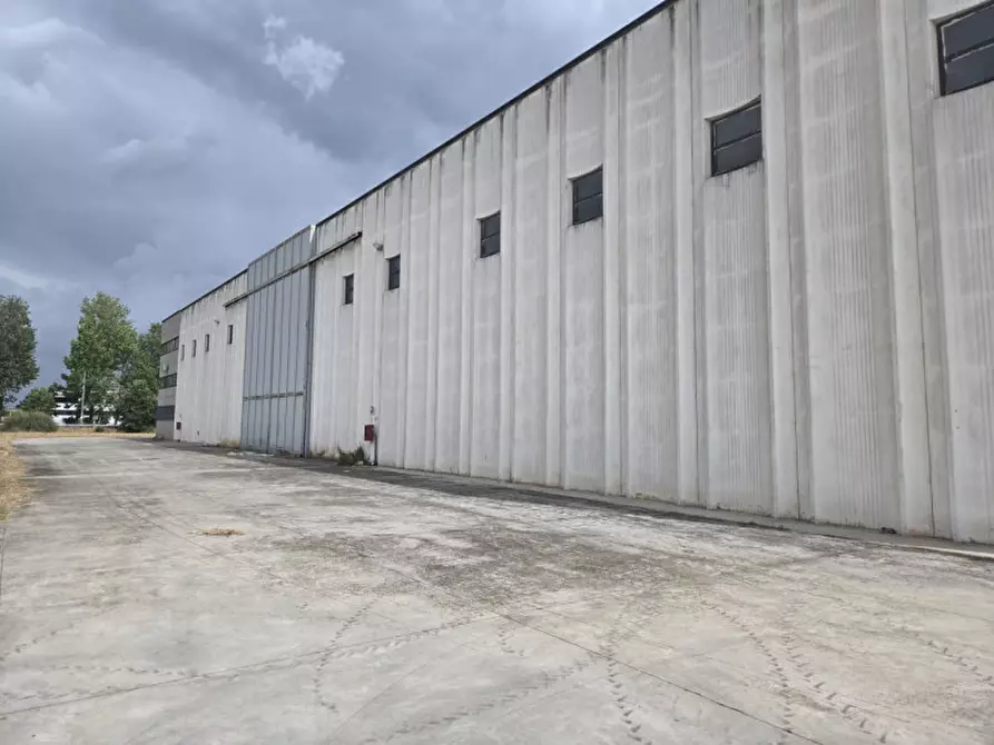 Immagine 2 di Capannone industriale in affitto  in Via Carlo Goldoni a Anzio
