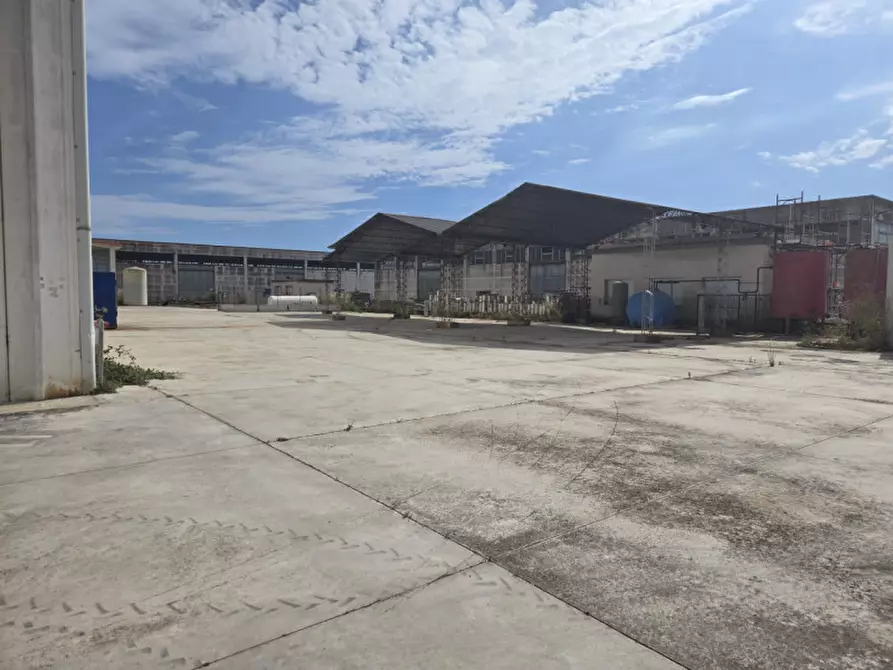 Immagine 4 di Capannone industriale in affitto  in Via Carlo Goldoni a Anzio