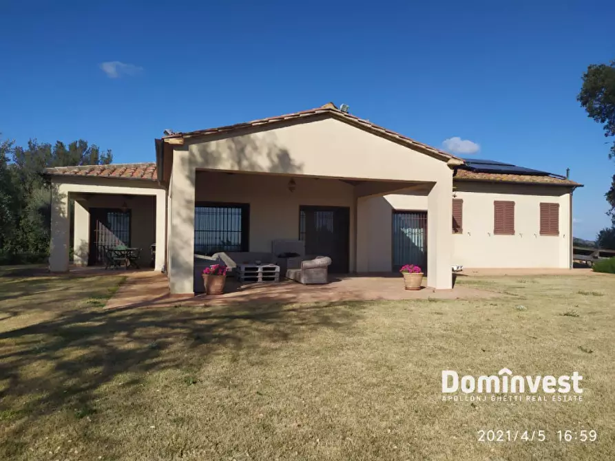 Immagine 1 di Rustico / casale in affitto  in vigna murata a Capalbio