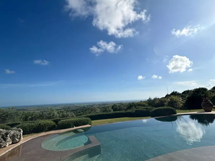 Immagine 13 di Rustico / casale in affitto  in vigna murata a Capalbio