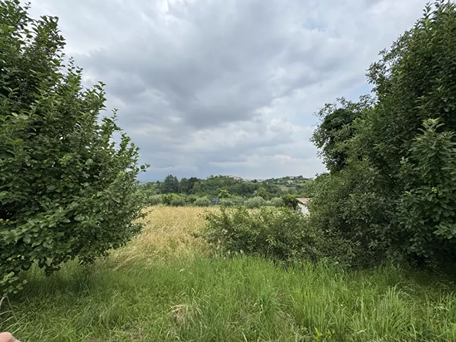 Immagine 4 di Rustico / casale in vendita  in Costa D'Olio a Colceresa