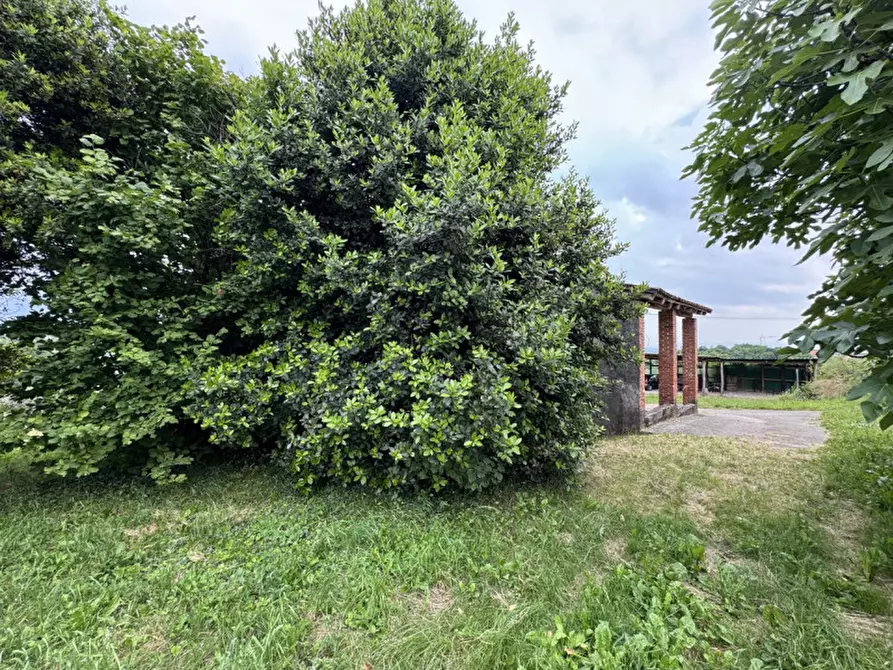 Immagine 5 di Rustico / casale in vendita  in Costa D'Olio a Colceresa