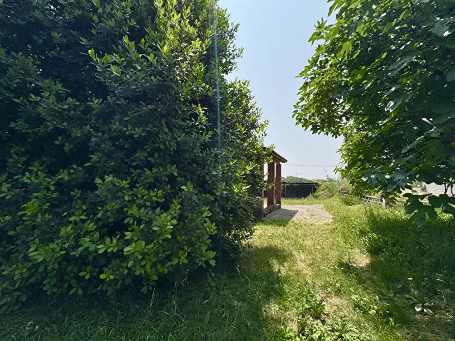 Immagine 11 di Rustico / casale in vendita  in Costa D'Olio a Colceresa