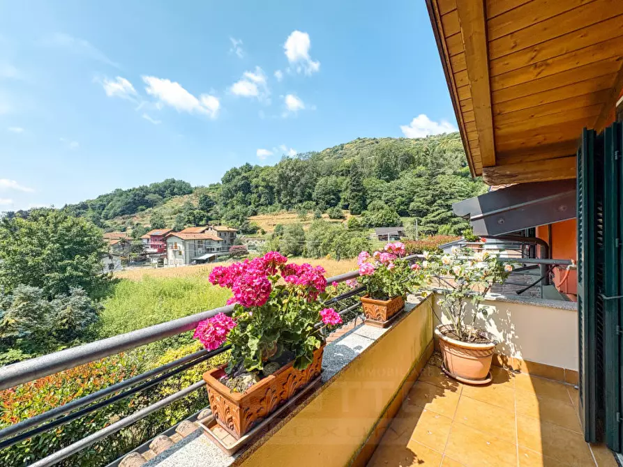 Immagine 22 di Villa in vendita  in Via per Colazza 24 a Meina