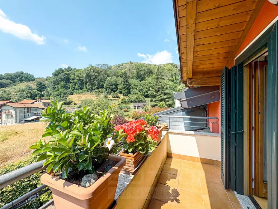 Immagine 30 di Villa in vendita  in Via per Colazza 24 a Meina