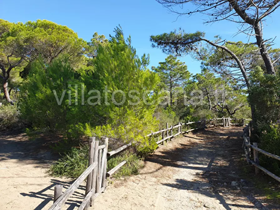 Immagine 11 di Villa in vendita  in Località Roccamare a Castiglione Della Pescaia