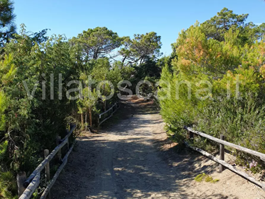 Immagine 12 di Villa in vendita  in Località Roccamare a Castiglione Della Pescaia