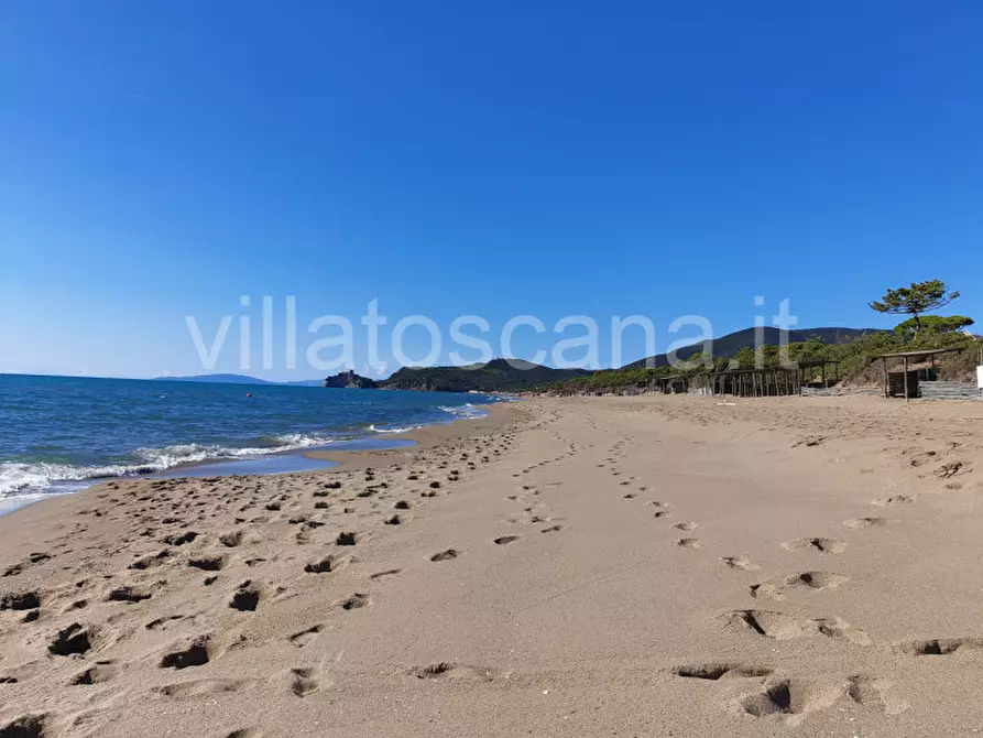 Immagine 18 di Villa in vendita  in Località Roccamare a Castiglione Della Pescaia