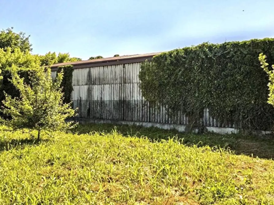 Immagine 15 di Capannone industriale in vendita  in Via Alessandro Manzoni, 45023 Costa di Rovigo RO, Italia a Costa Di Rovigo