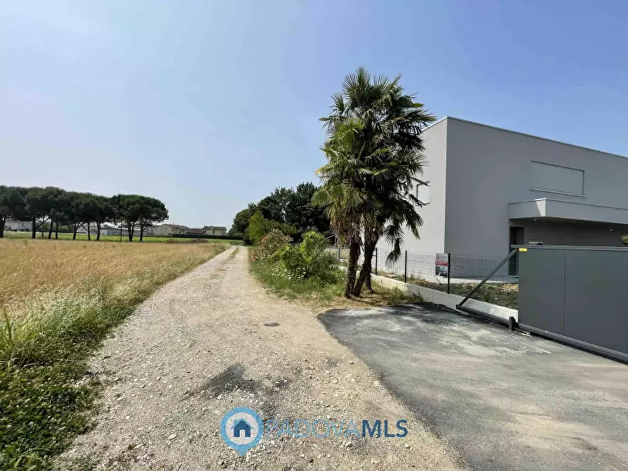 Immagine 11 di Casa bifamiliare in vendita  a Selvazzano Dentro