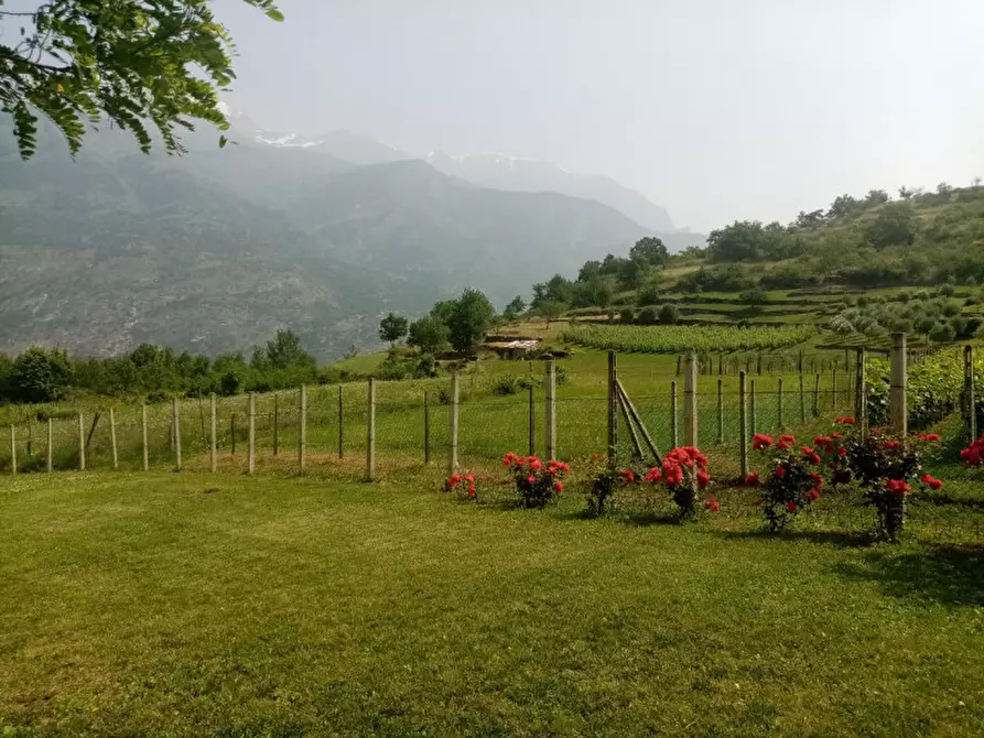 Immagine 5 di Attività commerciale in vendita  in Regione Colfacero 3 a Gravere