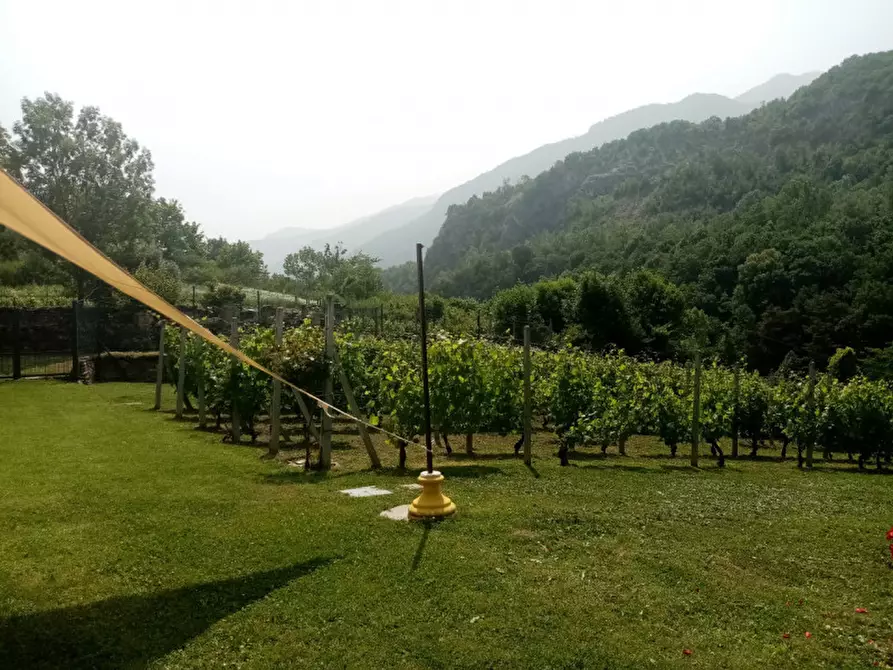 Immagine 6 di Attività commerciale in vendita  in Regione Colfacero 3 a Gravere