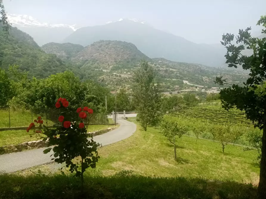 Immagine 7 di Attività commerciale in vendita  in Regione Colfacero 3 a Gravere