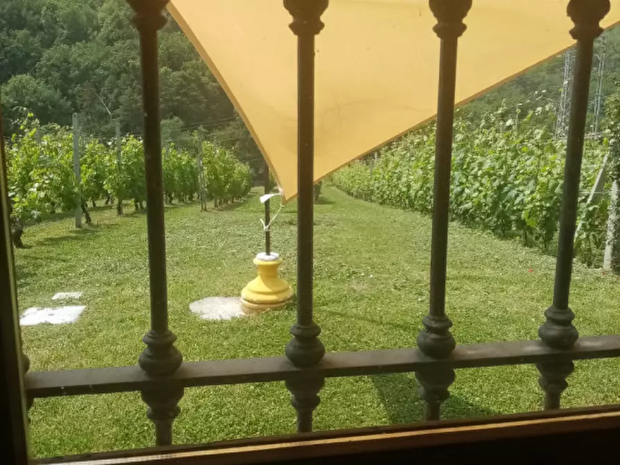 Immagine 14 di Attività commerciale in vendita  in Regione Colfacero 3 a Gravere