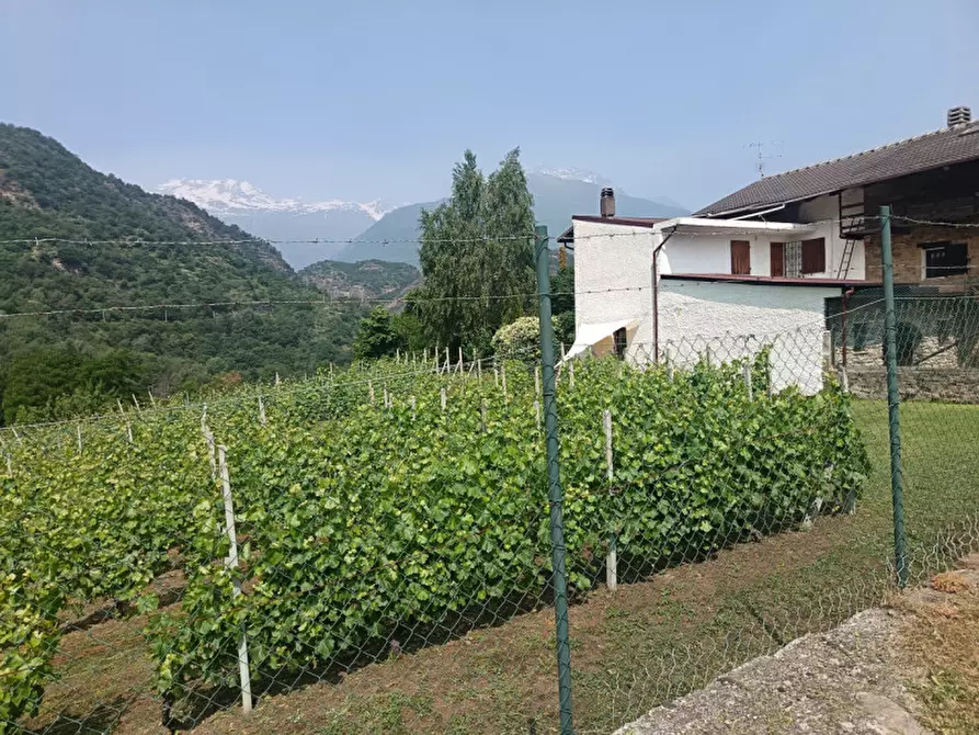 Immagine 30 di Attività commerciale in vendita  in Regione Colfacero 3 a Gravere