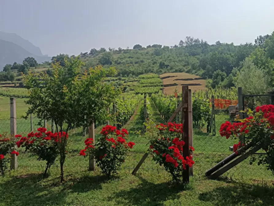 Immagine 31 di Attività commerciale in vendita  in Regione Colfacero 3 a Gravere