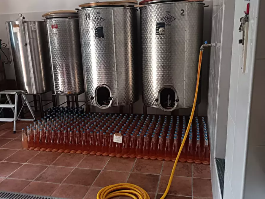 Immagine 37 di Attività commerciale in vendita  in Regione Colfacero 3 a Gravere