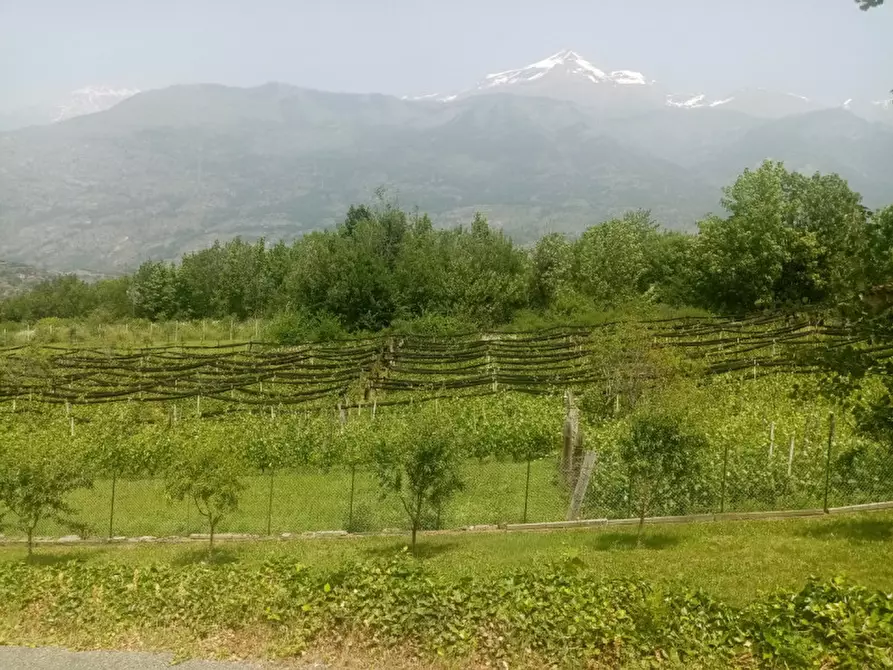 Immagine 39 di Attività commerciale in vendita  in Regione Colfacero 3 a Gravere