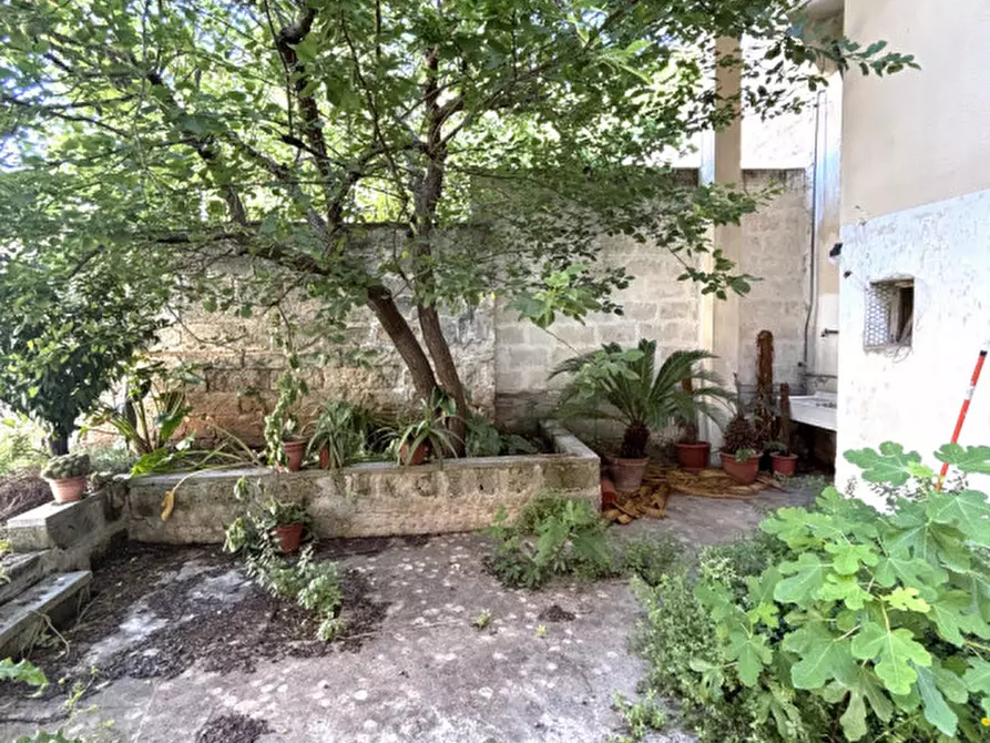 Immagine 5 di Casa indipendente in vendita  in Via Osanna a Galatina