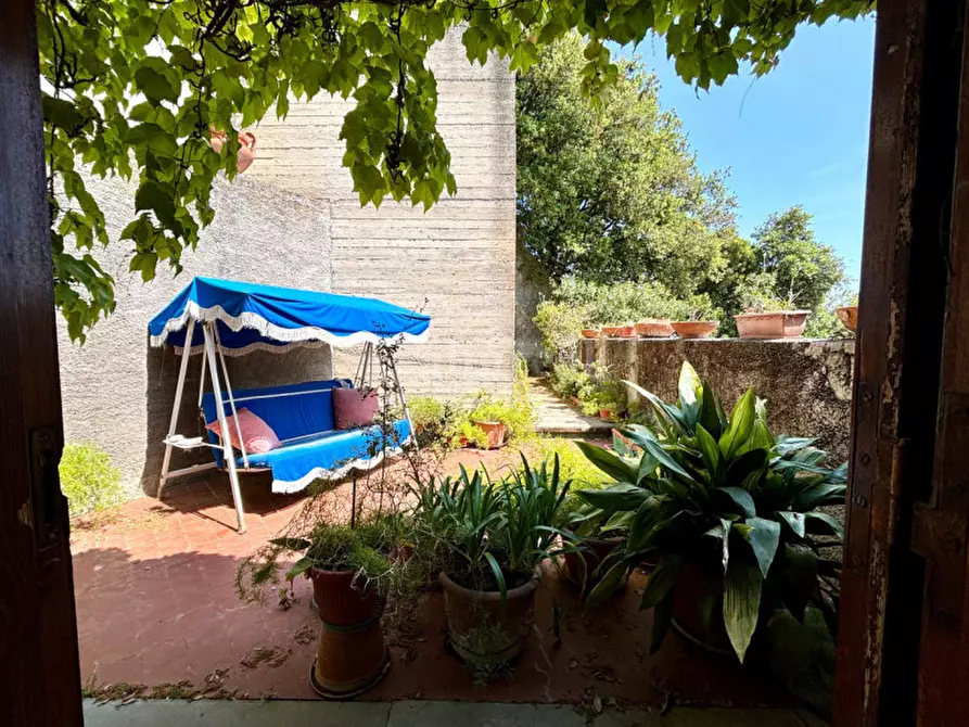 Immagine 14 di Casa quadrifamiliare in vendita  a Castiglione Della Pescaia