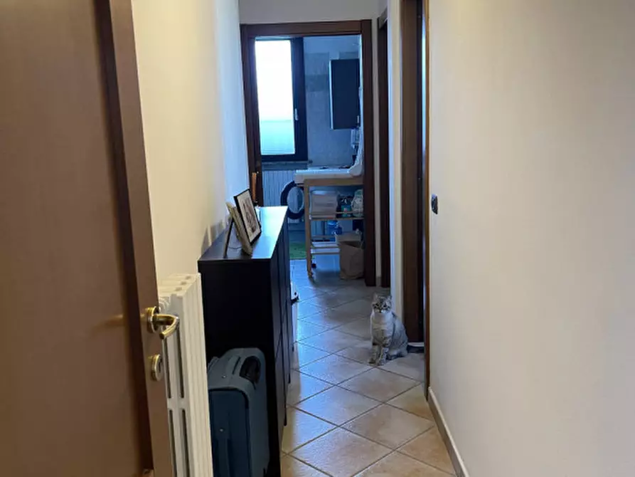 Immagine 6 di Appartamento in vendita  a Suzzara