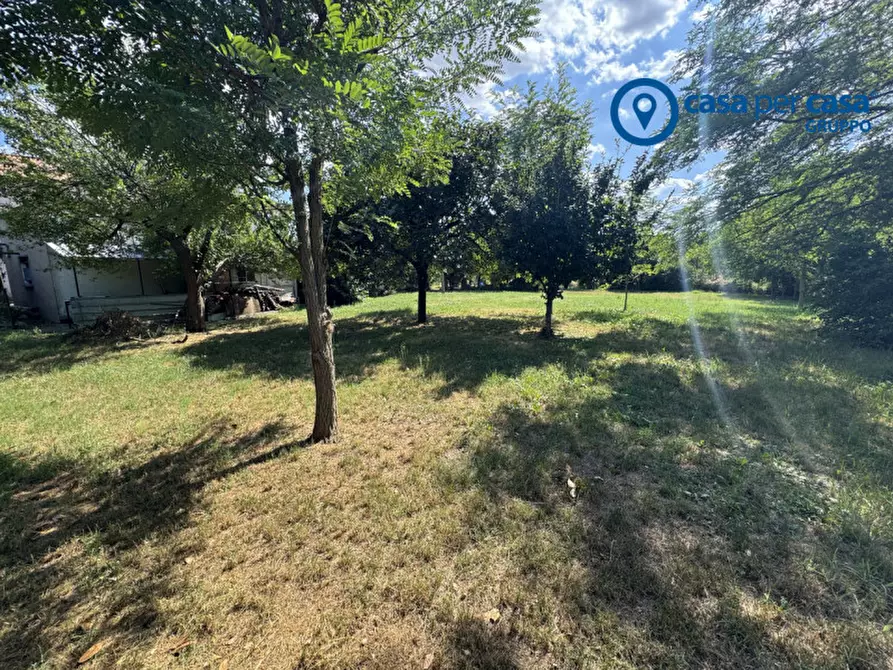 Immagine 6 di Casa bifamiliare in vendita  in via roma 993 a Bosaro