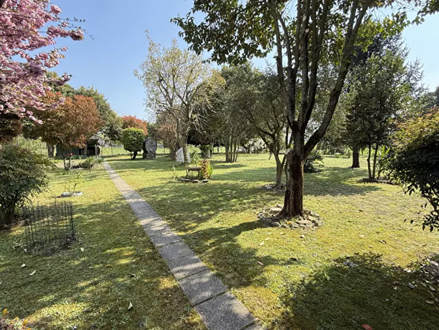 Immagine 4 di Casa indipendente in vendita  in Riviera Pompeo Molmenti 62 a Motta Di Livenza
