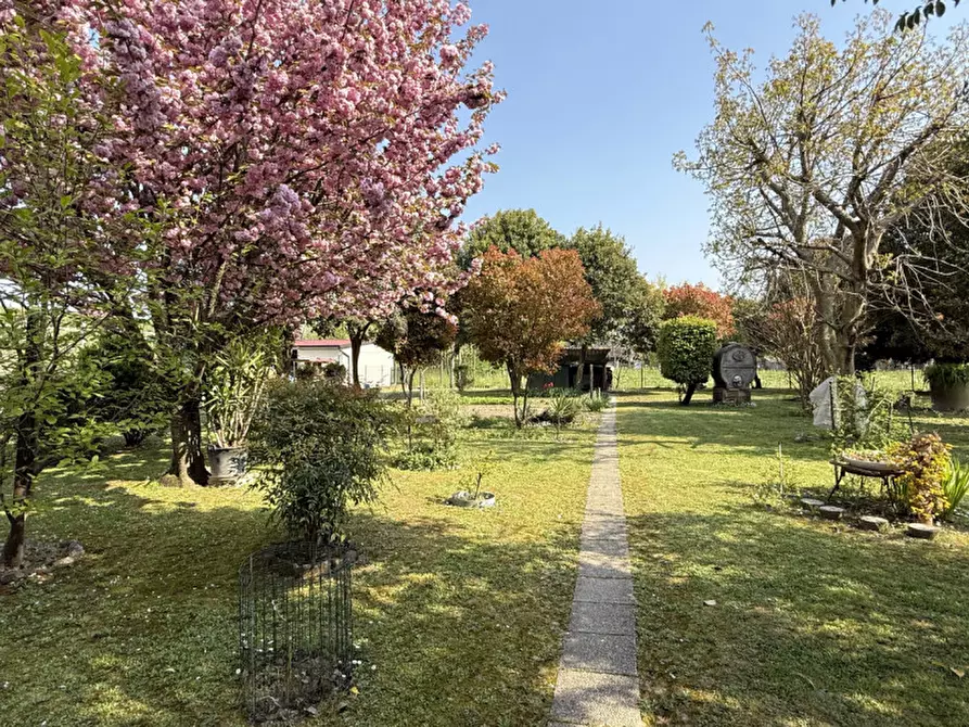Immagine 5 di Casa indipendente in vendita  in Riviera Pompeo Molmenti 62 a Motta Di Livenza