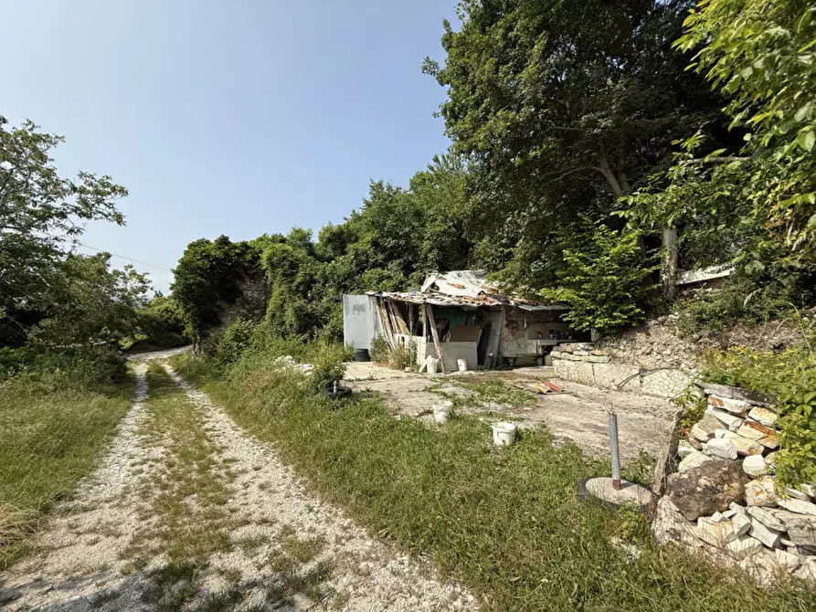 Immagine 1 di Rustico / casale in vendita  a Tregnago