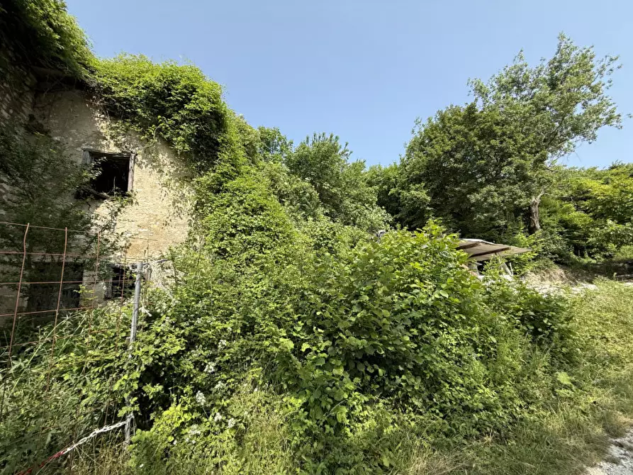 Immagine 2 di Rustico / casale in vendita  a Tregnago