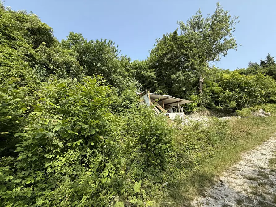 Immagine 3 di Rustico / casale in vendita  a Tregnago