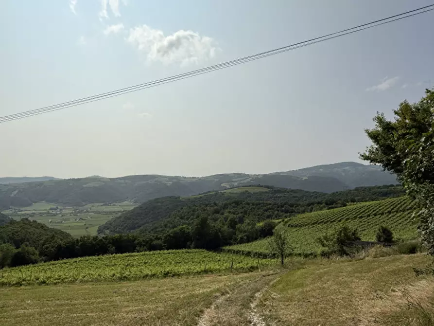 Immagine 5 di Rustico / casale in vendita  a Tregnago