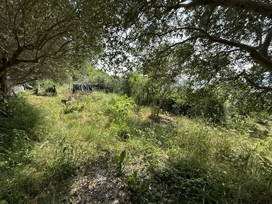 Immagine 6 di Rustico / casale in vendita  a Tregnago