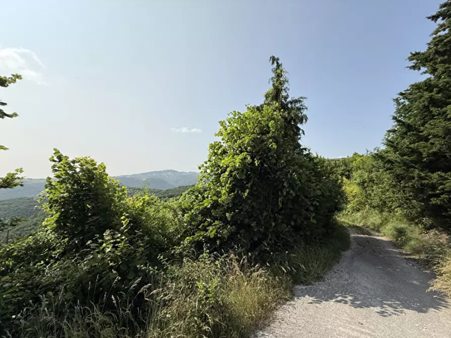 Immagine 7 di Rustico / casale in vendita  a Tregnago