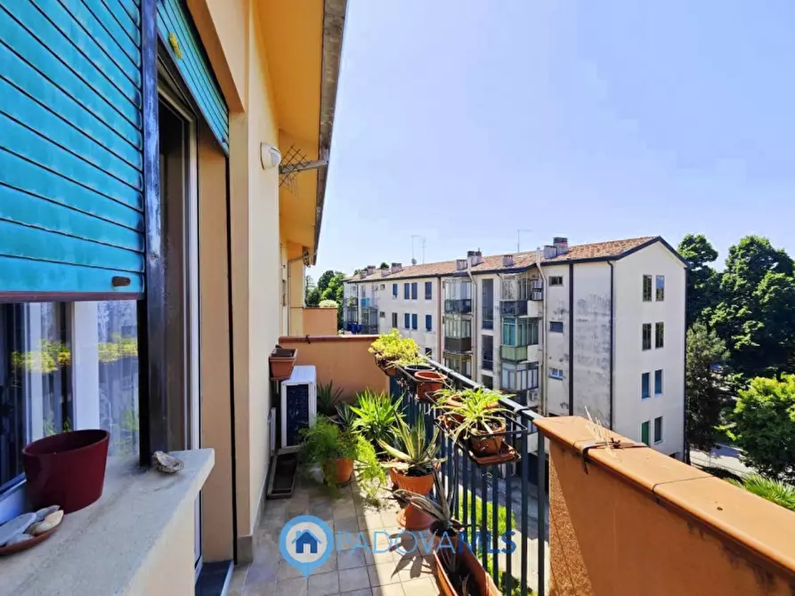 Immagine 20 di Appartamento in vendita  in Via Jacopo Riccati a Padova